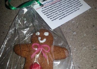 NSTW Gingerbread biscuit